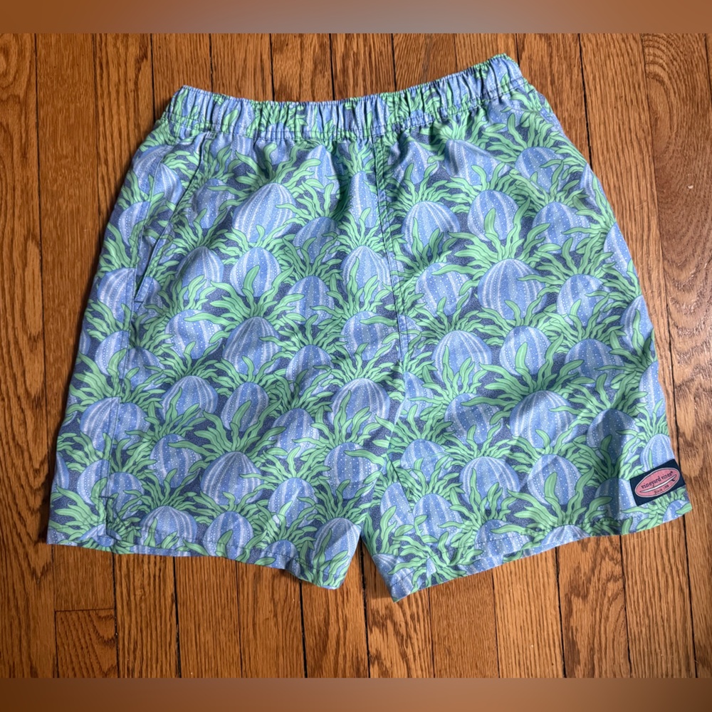 Vineyard Vines Blue and Green Swim Trunks - Size 16